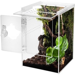 Tall Jumping Spider Enclosure with Cross Ventilation