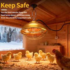 300W Heat Lamp for Chicken Coop – Waterproof Chicken Coop Heater for Indoor &