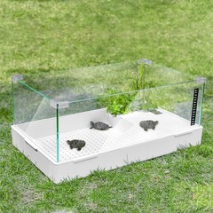 BETAZOOER Turtle Tank with Adjustable Water Pump Filter, Large(Glass), Glass