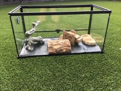 50 gallon reptile tank with accessories (included in picture)