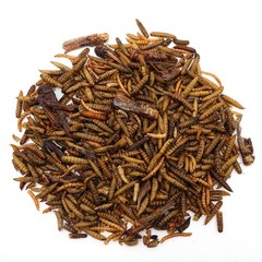 1LB The Ultimate Bug Blend Treat for Birds, Chicken, Reptiles, Ducks, Hedgehogs