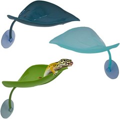 Crested Gecko Hide Wall Crawling Gecko Toy Gecko Tank Accessories