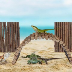 2PCS Reptile Hideout Hermit Crab Bendable Bridge Wooden Hermit Crab Hideout