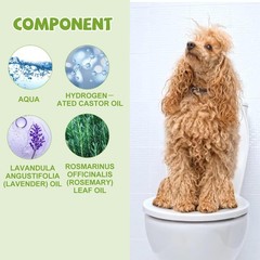 Dog Potty Spray Set, Potty Training Spray for Dogs, Cat Litter Here Training …
