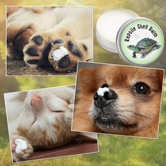 Reptile Shell Balm 2 oz Turtle Shell Care Conditioner Skin Moisturizer Cream …