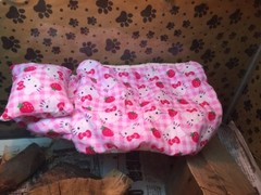 HELLO KITTY ATTACHABLE RESTING LRG SET BED COVERS WITH EXTRA FREE SET COVERS