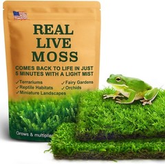 Live Moss Duo Pack 2 Types of Real Live Sheet/Sphagnum Moss Terrariums Terrarium