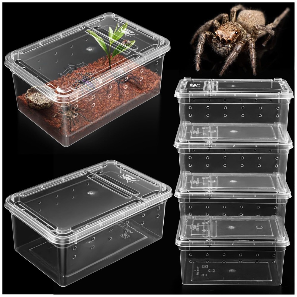 6 Pack Mini Jumping Spider Enclosures, Portable Breeding Box, Clear Plastic