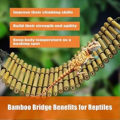 Bearded Dragon Tank Accessories Reptile Climbing Hammock Bridge Lizard Lounger
