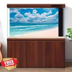 Riivvdise Beach Tank Background 24×16″ Blue