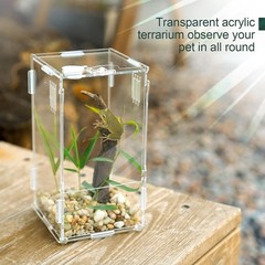 Acrylic Reptile Mini Tank 4x4x8 Sturdy Terrarium for Tarantula Isopod Inverte…