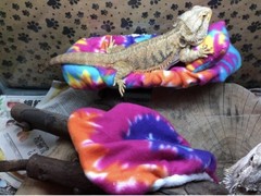 TYE DYE PRINT LARGE ATTACHABLE RESTING BED SET SOFT COVER 4 BEARDED DRAGON