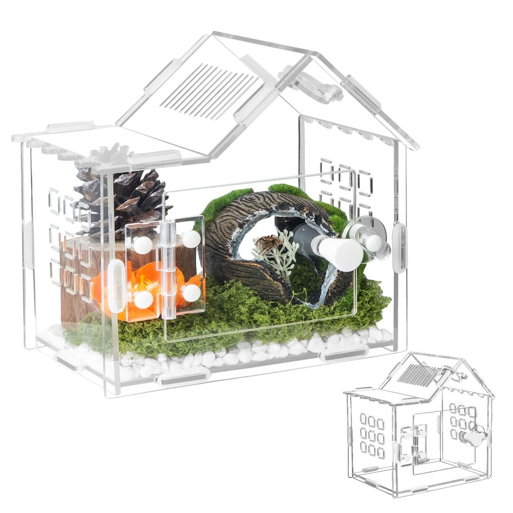 Jumping Spider Enclosure for Small Species, Acrylic Reptile Terrarium Habitat…