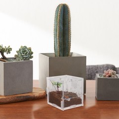 Clear Reptile Breeding Box Small Jumping Spider Enclosure Gecko Cage Terrarium