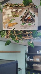 Penn Plax Lizard Lounger Hanging Hideout 100% Natural Sea Grass
