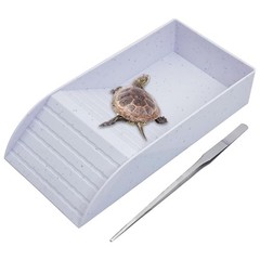 Tortoise Water Dish With Ramp Basking Platform Reptile Bowl Turtle Tub White