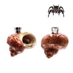 2 PCS Conch Jumping Spider Hideout With Magnet And Moss Enclosure Decor