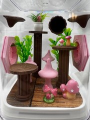 Acrylic Pink Pad Jumping Spider Terrarium – Cute Home Enclosure