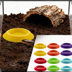 Small Invertebrate Feeding Dish – Cockroach Bowl, Ideal for Tiny Insect Pets