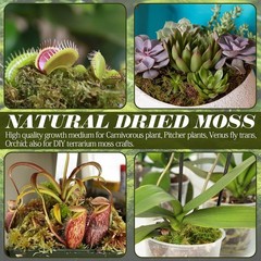 8 Oz Sphagnum Moss for Reptiles,12 Qt Natural Hermit Crabs Moss Reptile BeddingV