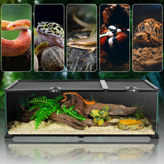 30″ Reptile Terrarium Tank with Ventilation & Feeding Ports for Snakes & Spiders