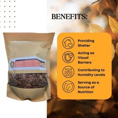 Mulched Leaf Litter for Reptiles, Isopods Live & Snails, Isopod Substrate, Te…