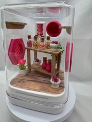 Candy Shop Jumping Spider Enclosure – Colorful Terrarium Home for Jumping Spider