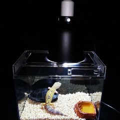 5.5 Inch Deep Dome Reptile Heat Lamp Fixture for UVB UVA Basking Light Tank