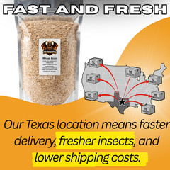10 lb Wheat Bran for Mealworms & Superworms Food Bedding Free Shipping