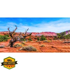AWERT Reptile Habitat Background 36x18in Blue Sky Orange Desert