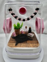 Jumping Spider Terrarium – The Pink Eclipse Cute Pet House Enclosure