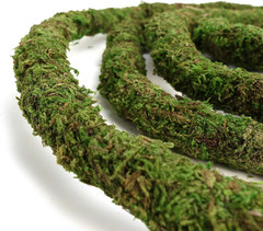 Moss Vine for Reptiles, Bendable Climbing Vines Reptile Tank Accessories, Natura
