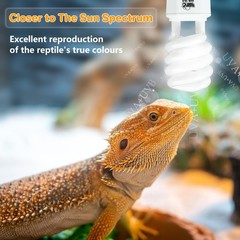 UVA UVB Reptile Light 10.0, Desert UVB 150 Compact Fluorescent Lamp, UVB Ligh…