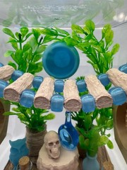 Blue Glow Spider Enclosure – Stylish Pet House for Jumping Spiders