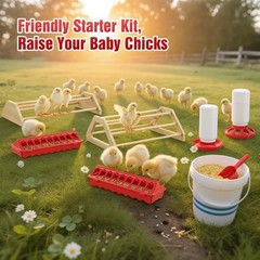 Pawaboo 7-in-1 Chicken Brooder Box for Chick Starter Kit, Includes Chicks Per…