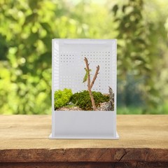 1Pcs Reusable Acrylic Observation Box White for Mantis Feeding