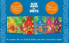 BLUE RIVER DIETS – PINEAPPLE CRUSH 60G – COMPLETE DIET FOR CRESTED GECKOS
