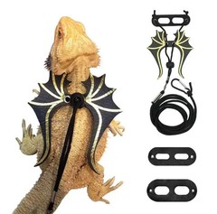Bearded Dragon Lizard Leash Harness – 3 Size Pack Dinosaur Wing Lizard Harness L