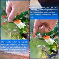 6pcs Aquarium Suction Cup Clips Seaweed Clip for Saltwater Fish Tank Veggie F…