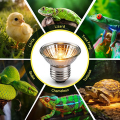 50W UVA UVB Reptile Light Bulb Heat Lamp Bulbs E26 Heat Lamp for Reptiles Amphib