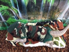NEW CAMOUFLAGE PRINT LARGE ATTACHABLE RESTING BED SET SOFT COVER 4 BEARDEDDRAGON