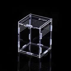 Clear Reptile Feeding Insect Box Acrylic Container Lizards Spider Breeding Case