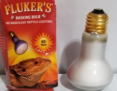 Flucker’s Basking Spotlight Bulbs for Reptiles 60 Watt