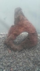 FISH TANK AQUARIUM STONE LAVA ROCK LIZARD REPTILE CLIMB HIDE HARDSCAPE AQUASCAPE