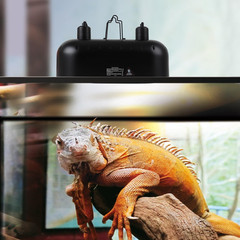 15 Inch Dual Reptile Light Fixture, Max 150W Reptile Heat Lamp with 2PCS 150W Ce