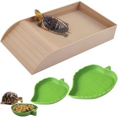 Tortoise Food Dish with Ramp Reptile Water Bowl Platform 3PCS