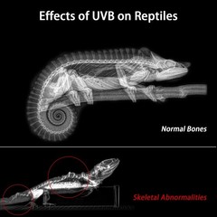 27-Inch LED UVB Reptile Light with Auto On/Off & Preset Day-Night Cycle Dimmi…