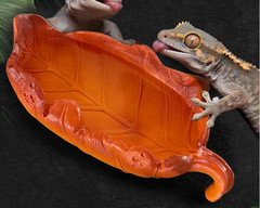 Reptile Feeding Dish Bowl, Leaf-Shaped Water & Food Bowl for Small Reptiles and