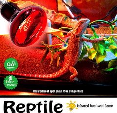 Infrared Heat Lamp Bulbs 75W 2 Pack,Red Basking Spot Light Bulb Reptile Heating