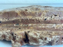 Magnetic Rock Ledges Made For Terrariums And Cages